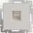 Розетка Ethernet RJ-45  (слоновая кость) W1181003 Werkel